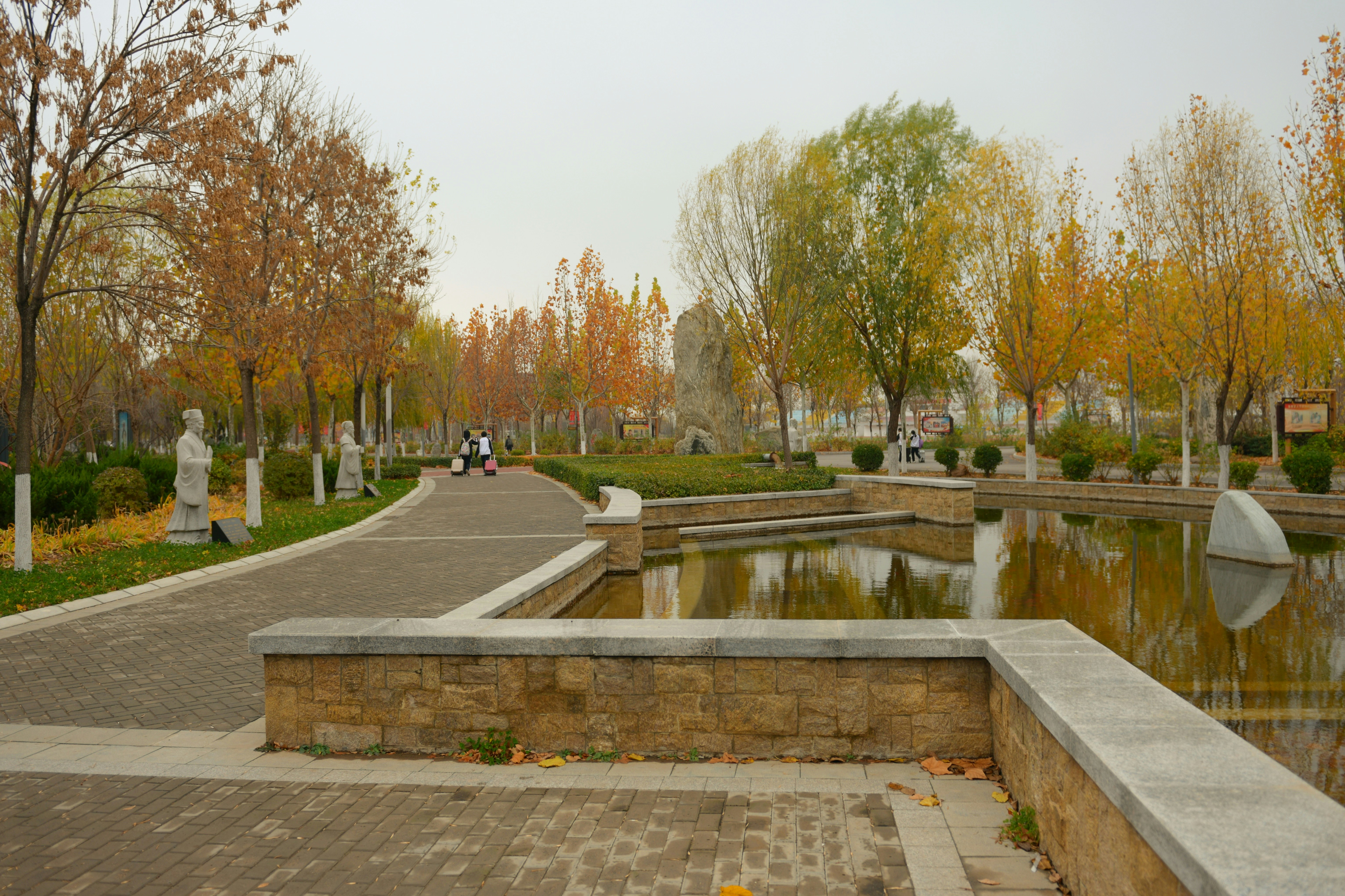 green trees near body of water during daytime