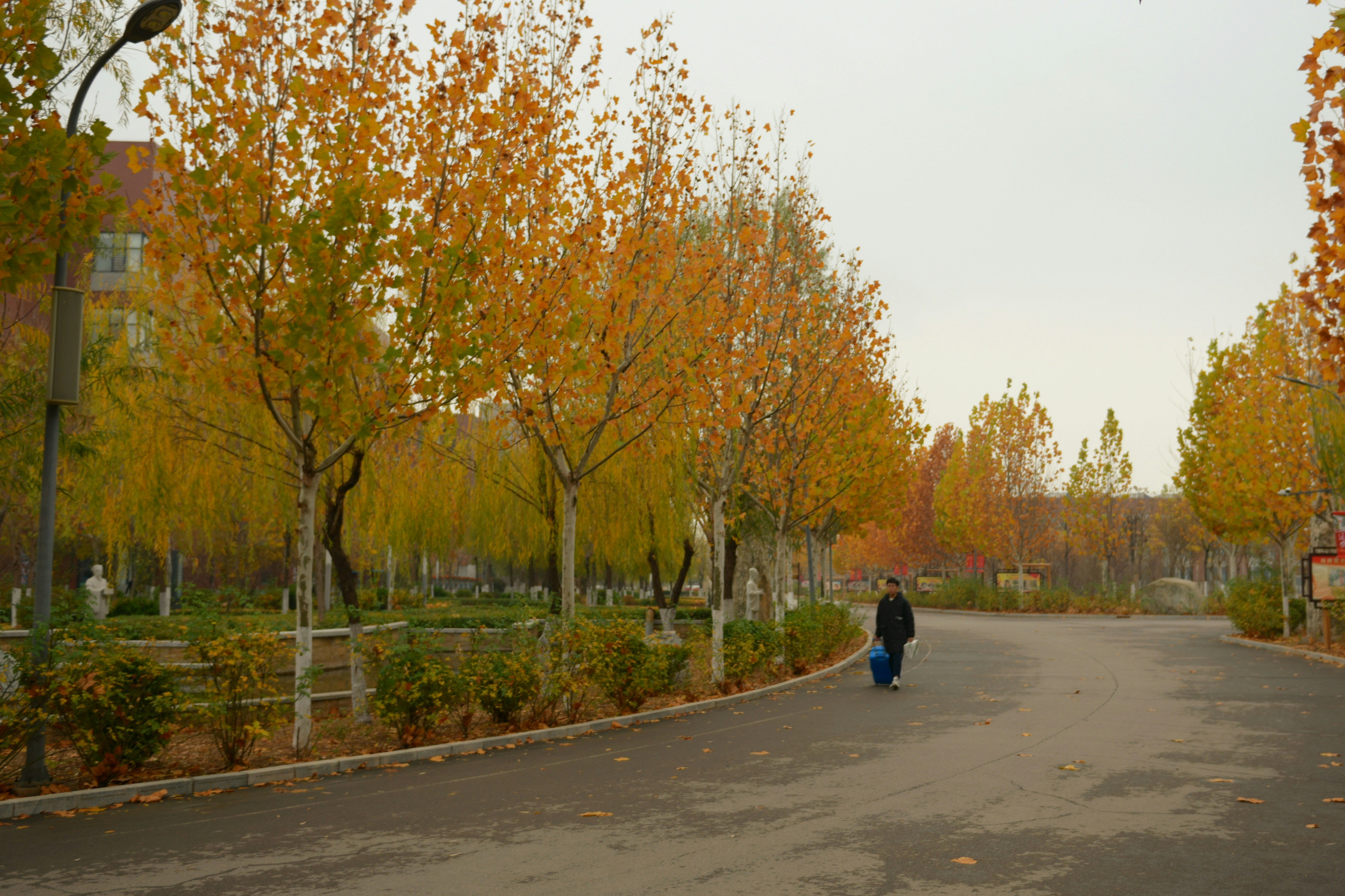 person in black jacket walking on gray concrete road during daytime