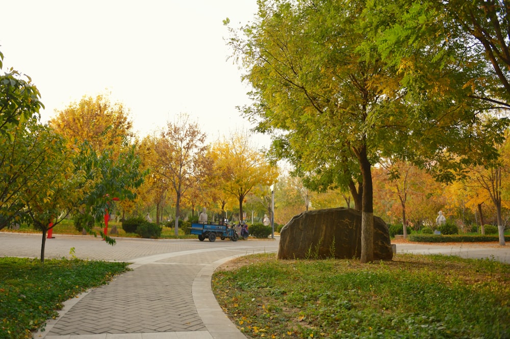 green trees on green grass field during daytime