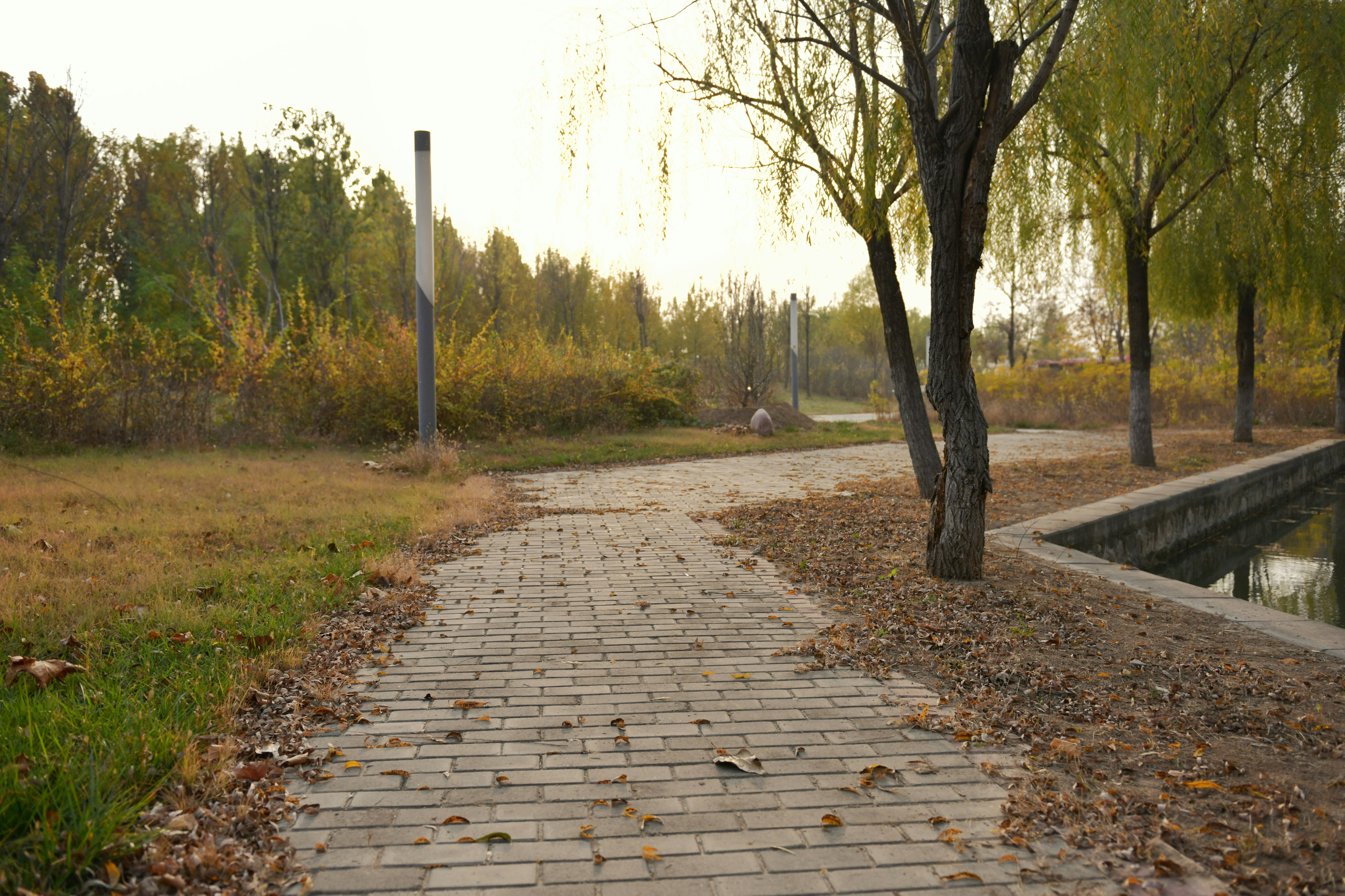 Photo by wangvictor222