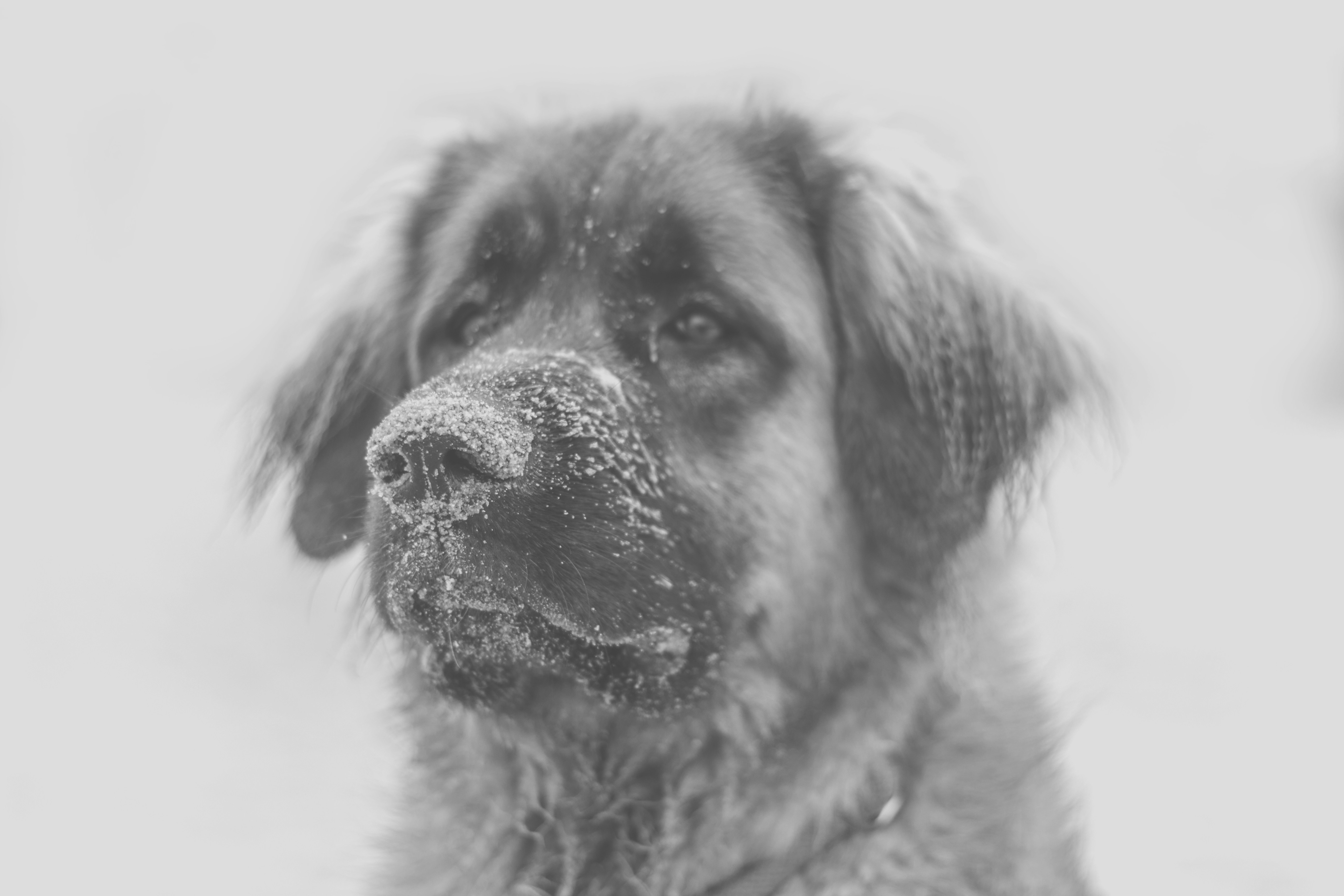 Photo by shutter_speed_