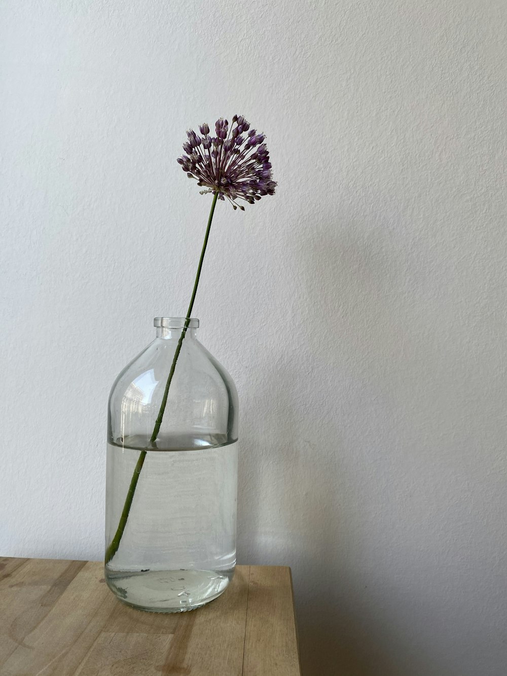 pink flower in clear glass vase