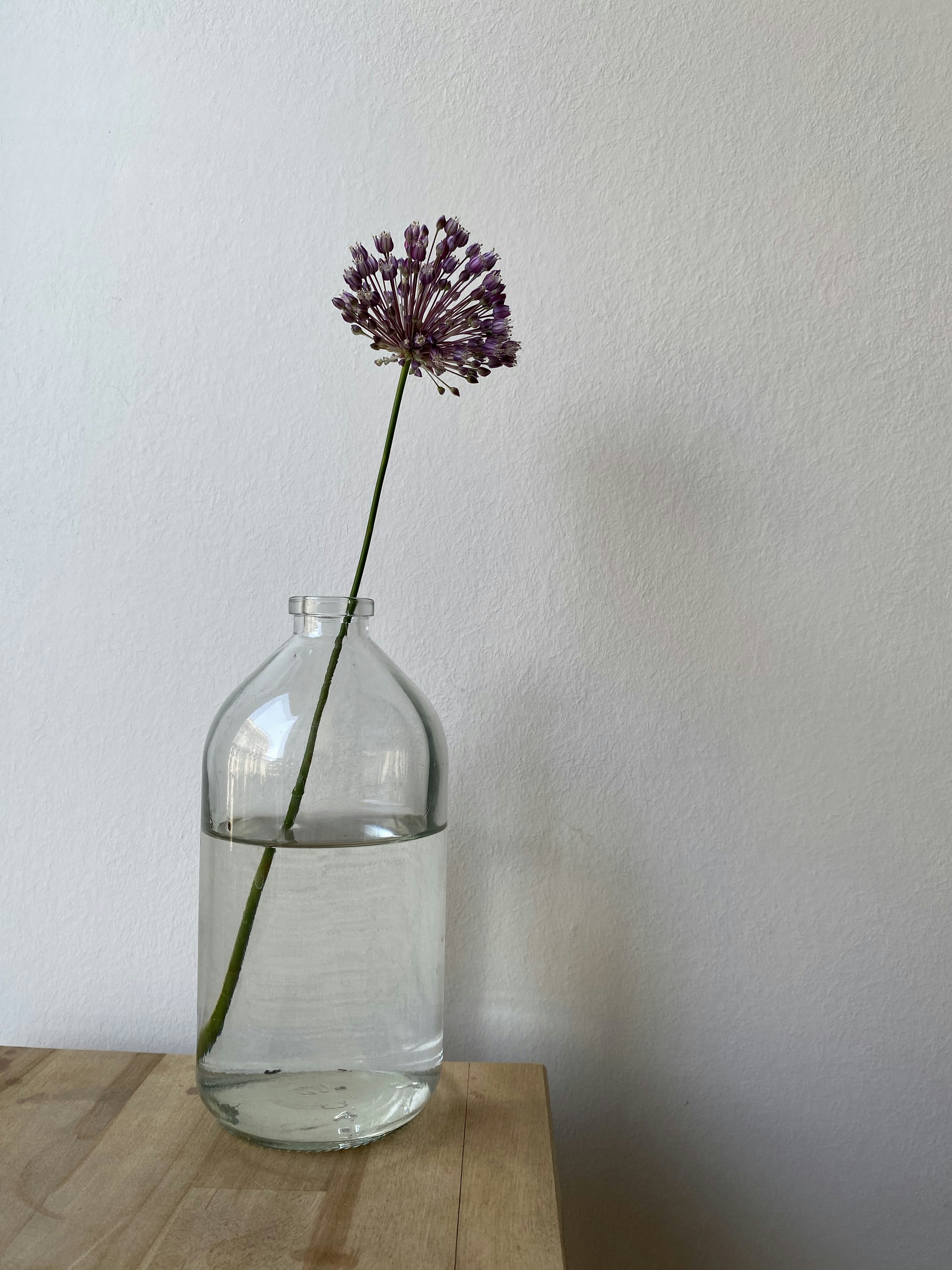 Beautiful preserved flower arrangement, perfect for adding a touch of nature to your home decor