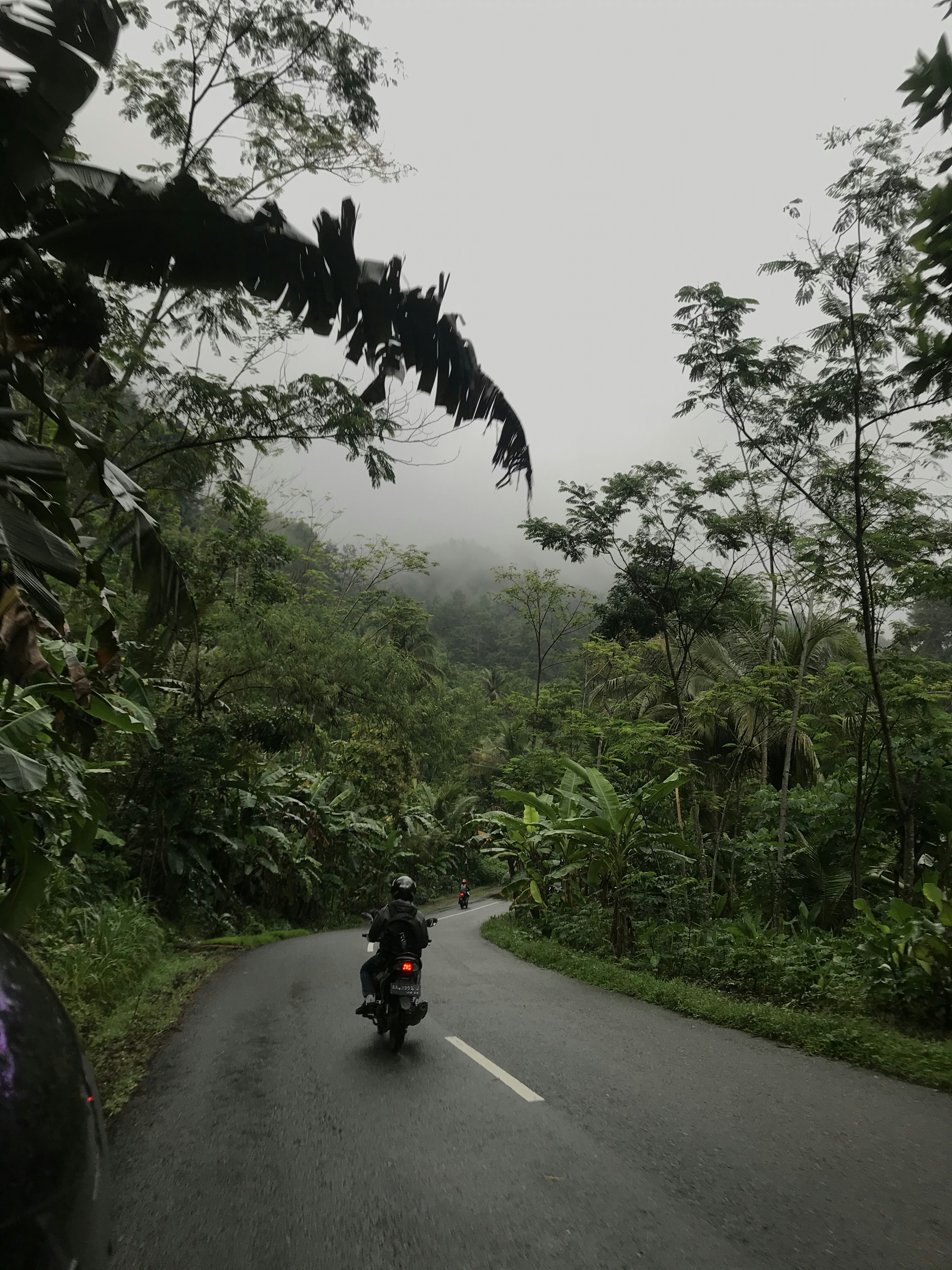 Motorcyclists on Western Ghats mountain road, misty forest, dark green atmosphere
