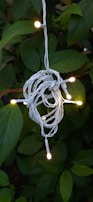 A tangled string of white electrical fairy lights hangs against a backdrop of green leaves. Several bulbs are illuminated, casting a warm yellow light, which contrasts with the dark green foliage.