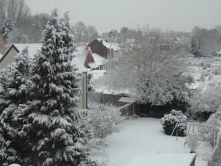 A snowy suburban landscape featuring several houses with white rooftops blanketed by snow. Tall, evergreen trees and bare deciduous trees are covered in snow, as well as a garden area with a swing set. The ground is entirely covered in white snow, creating a serene winter scene.