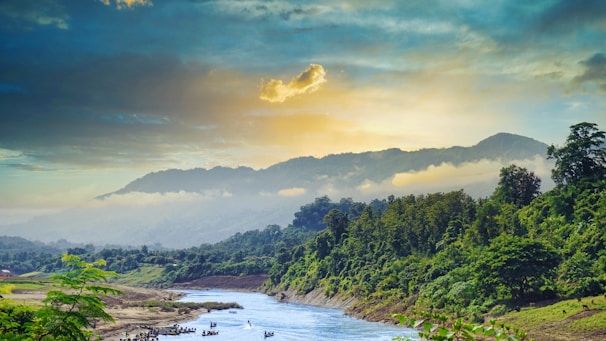 A serene river winding through dense Amazon jungle at golden hour.