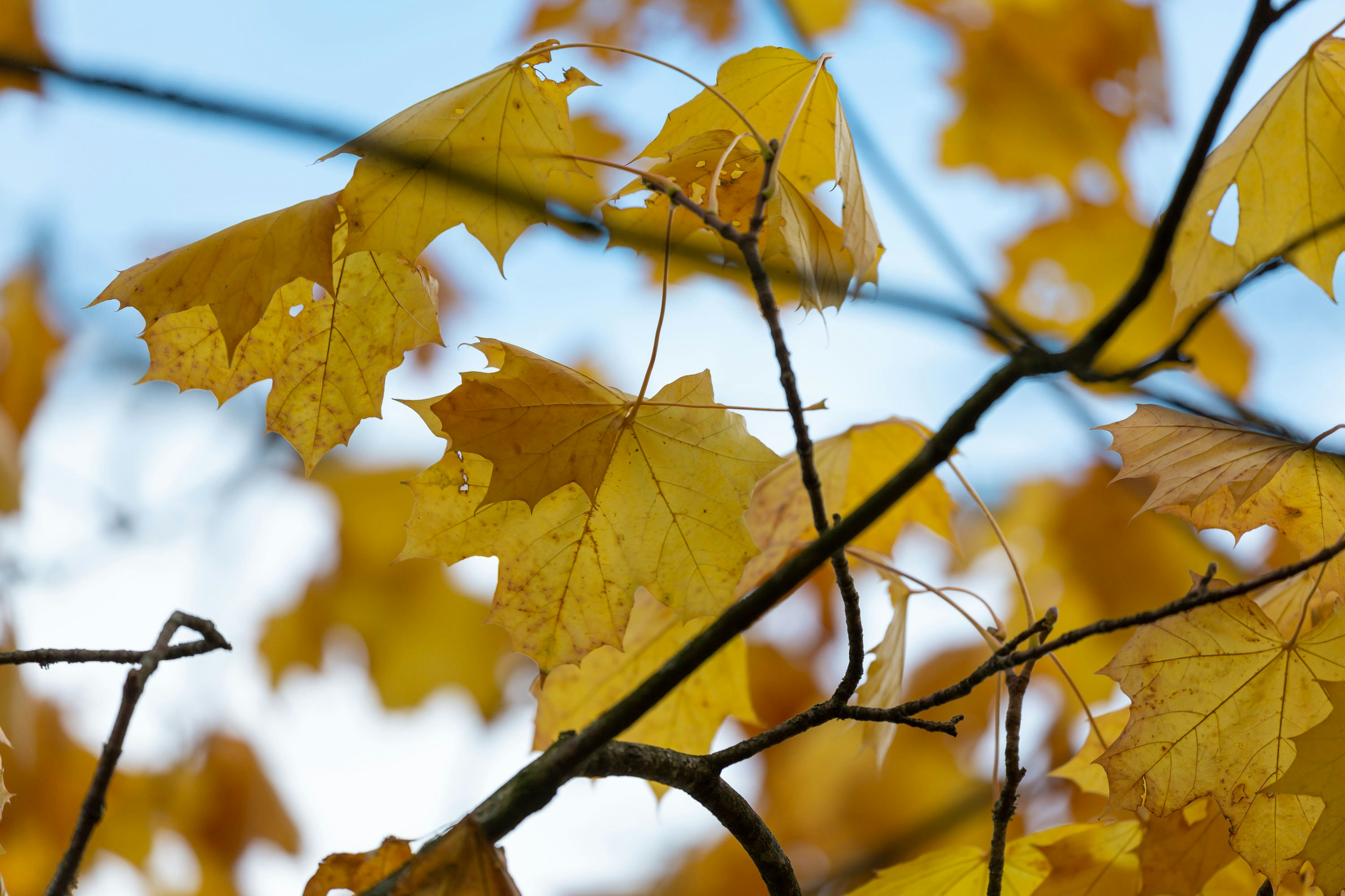 Photo by itscakefortea