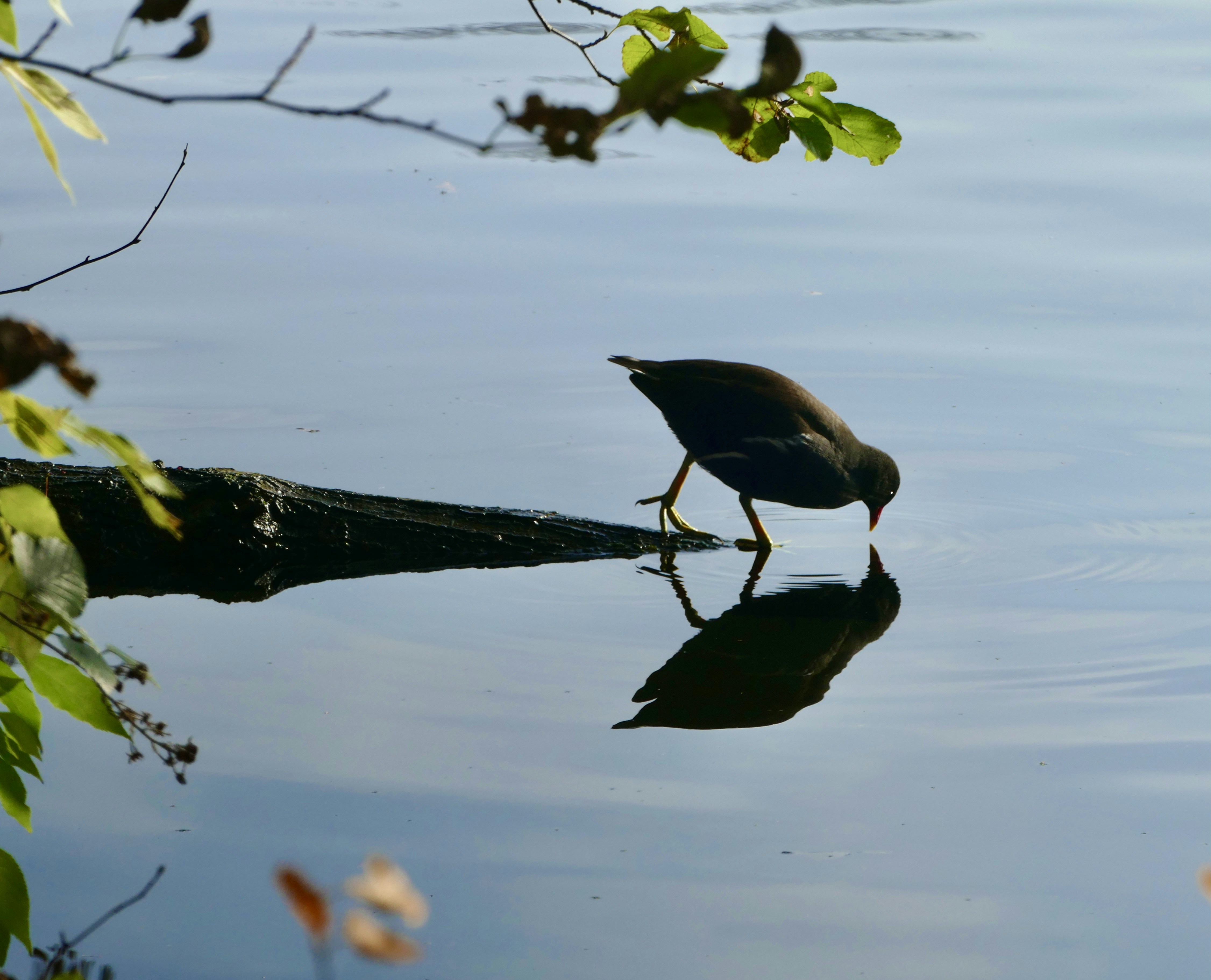 Photo by puffinadventures