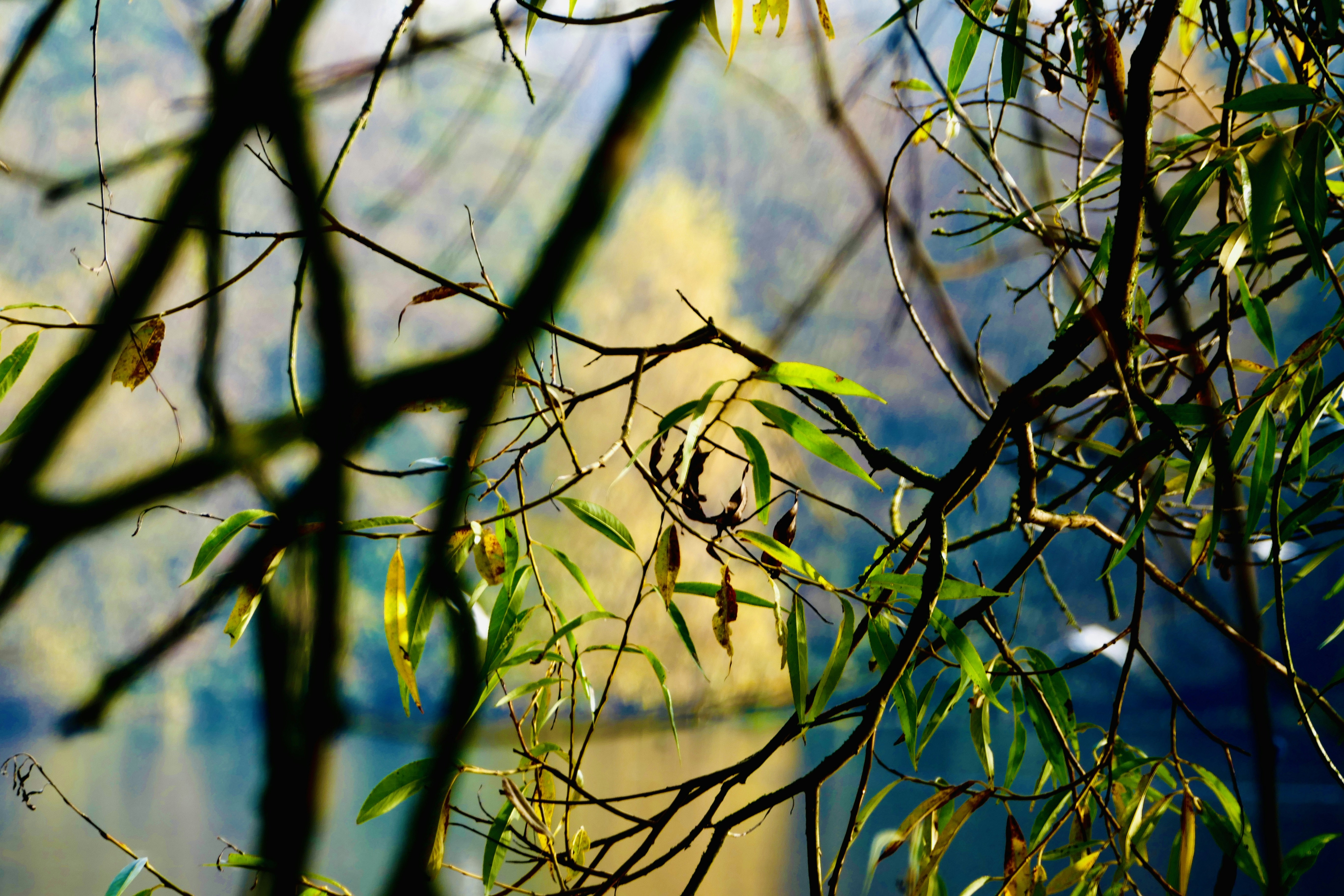 Photo by puffinadventures