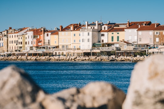houses near body of water during daytime in Piran Slovenia