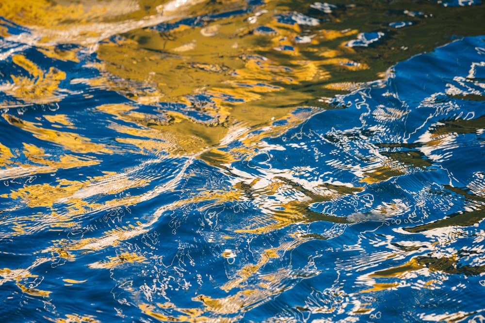 water droplets on body of water