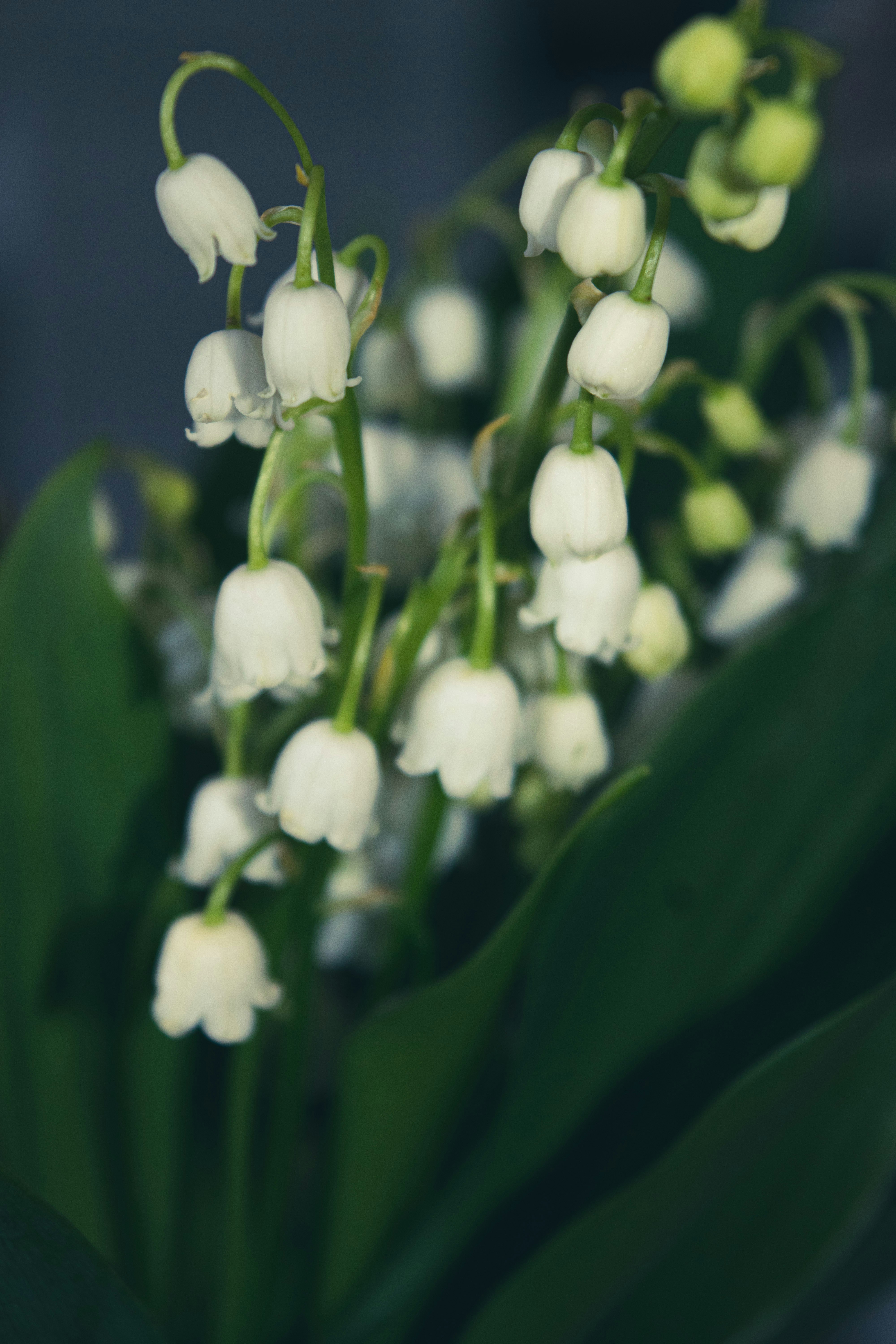 Photo by newyork_creator