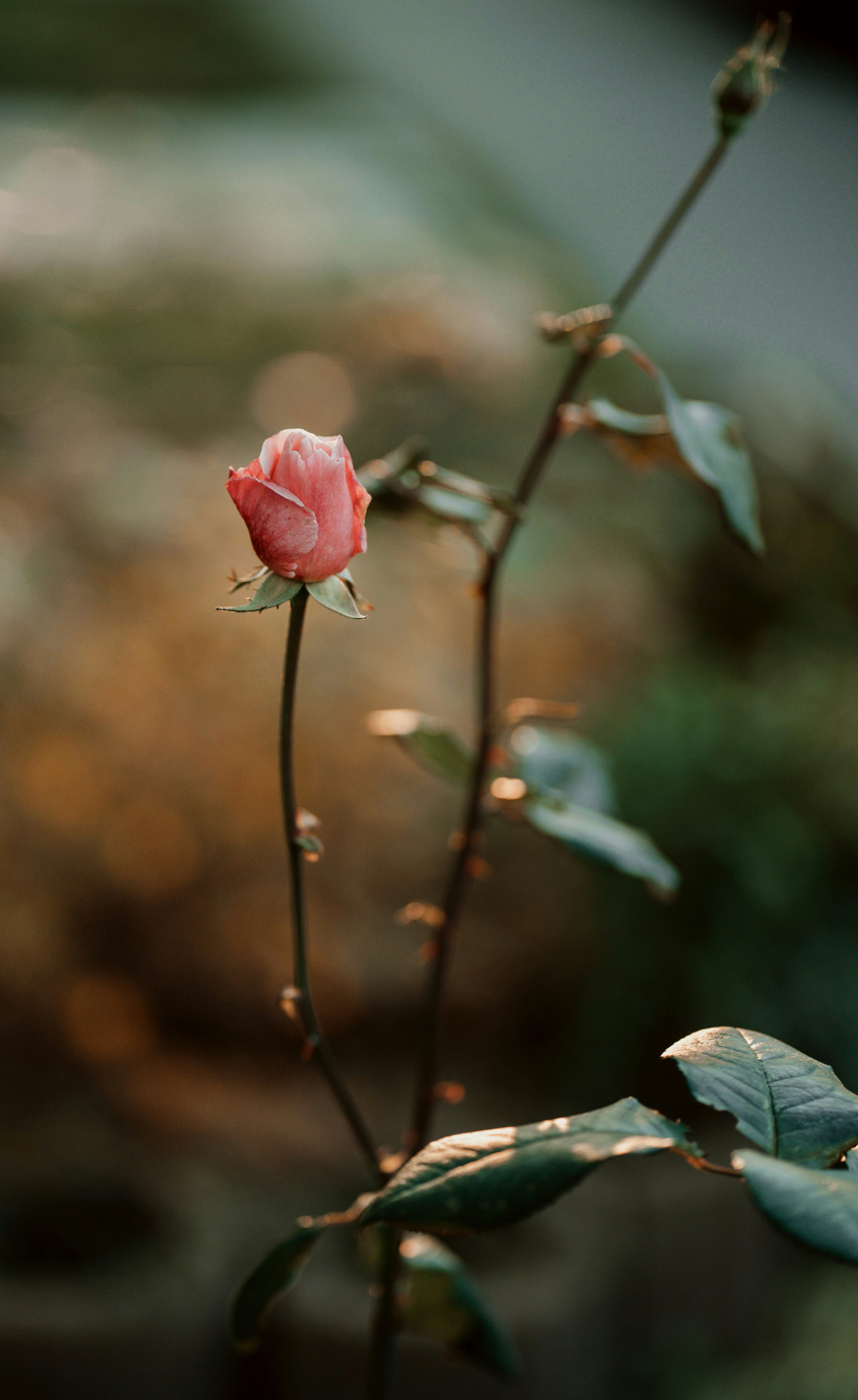 Photo by prics