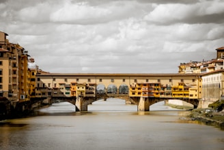 brown concrete bridge under cloudy sky during daytime