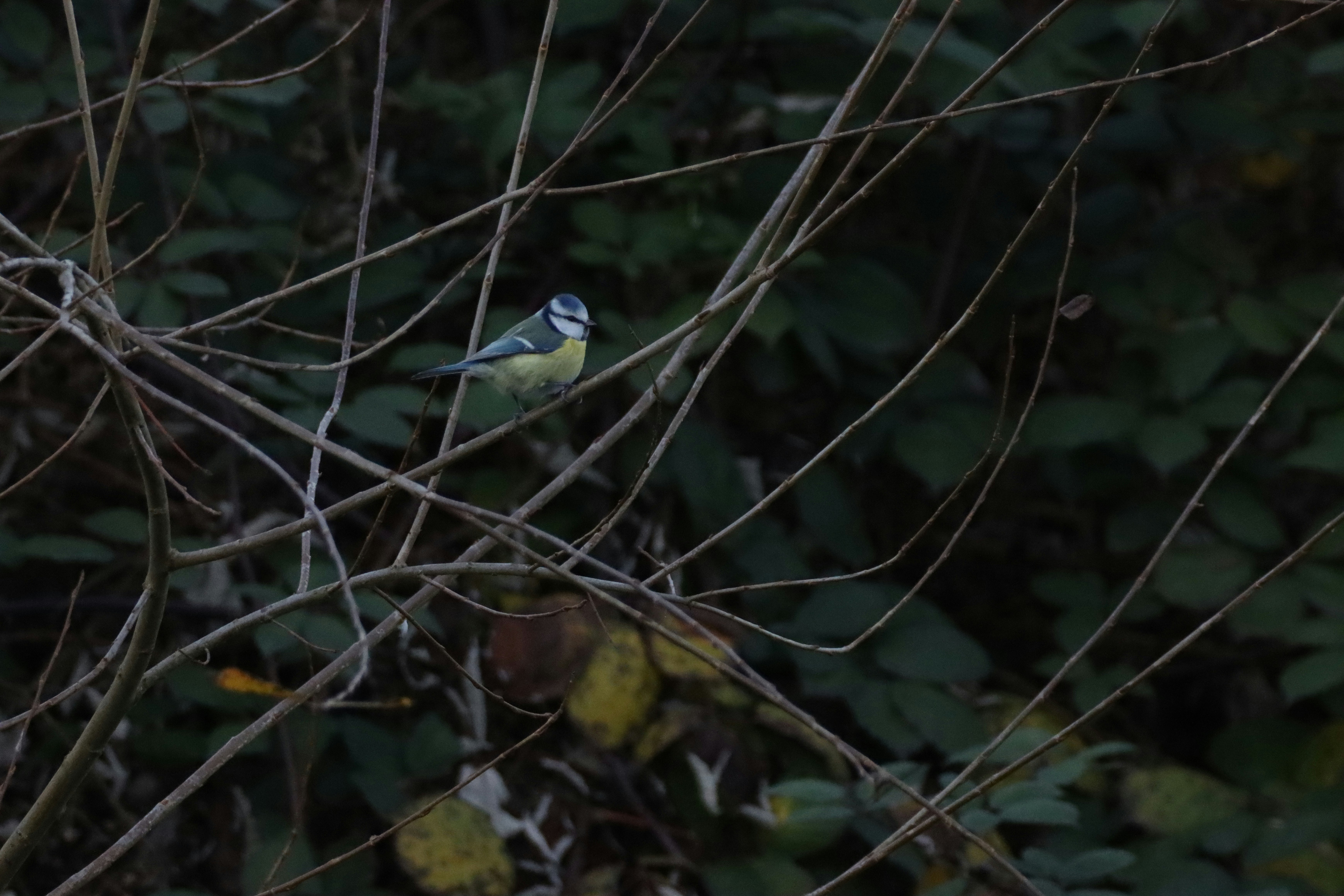 Photo by photasticlab