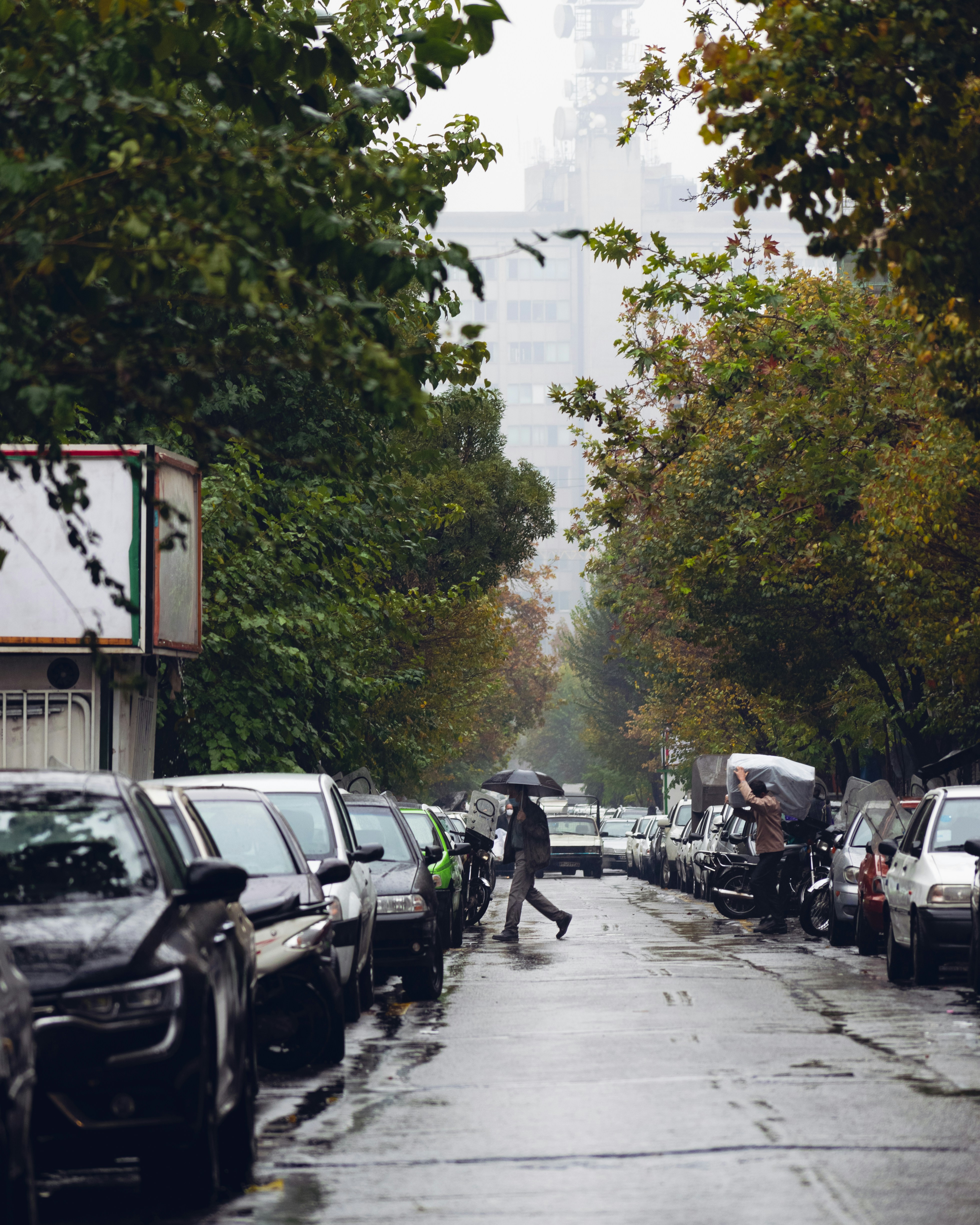 Photo by pouriaoskuie