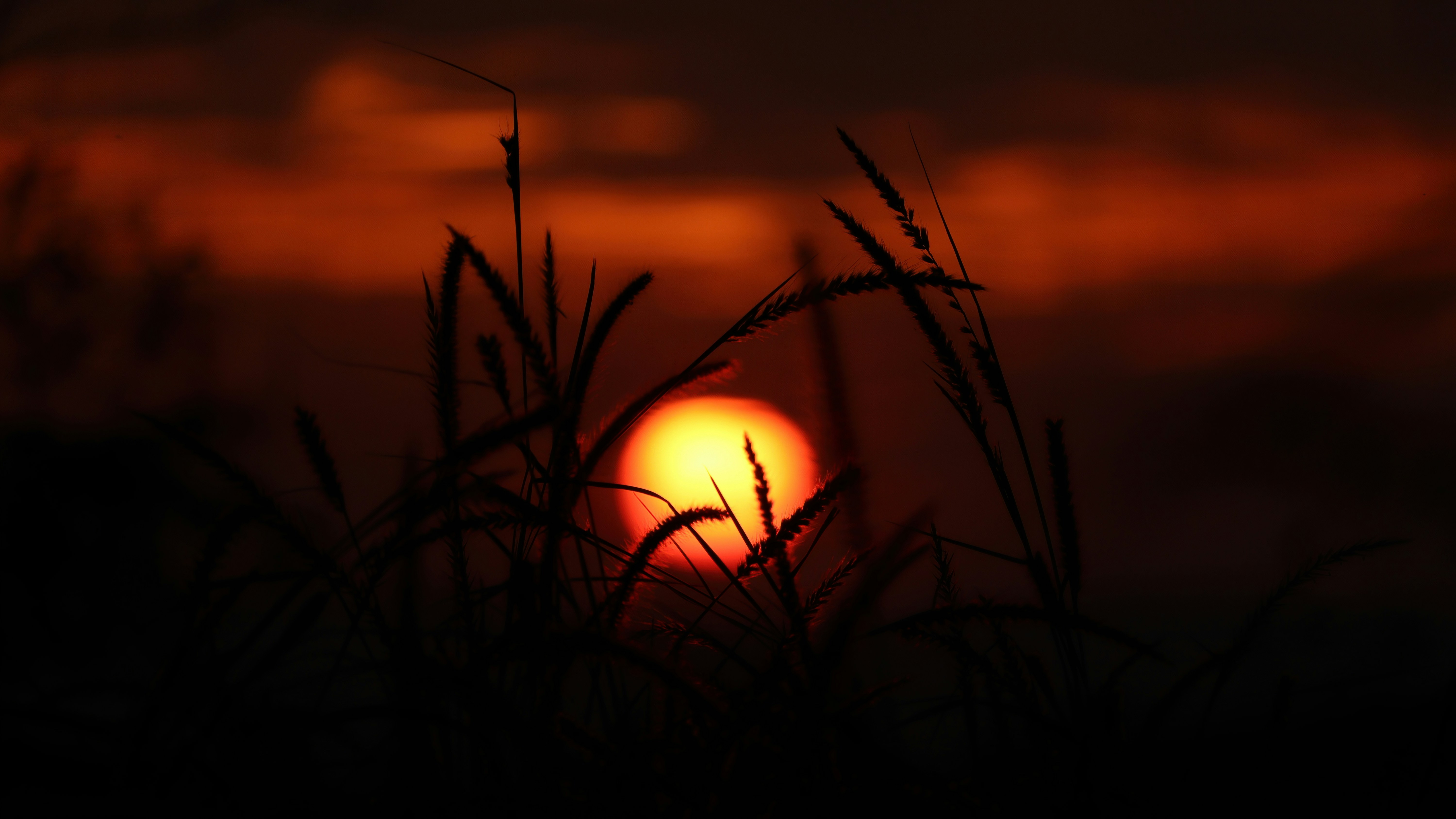 Photo by rahul_viswanath