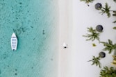 aerial view of green palm trees on white sand beach during daytime