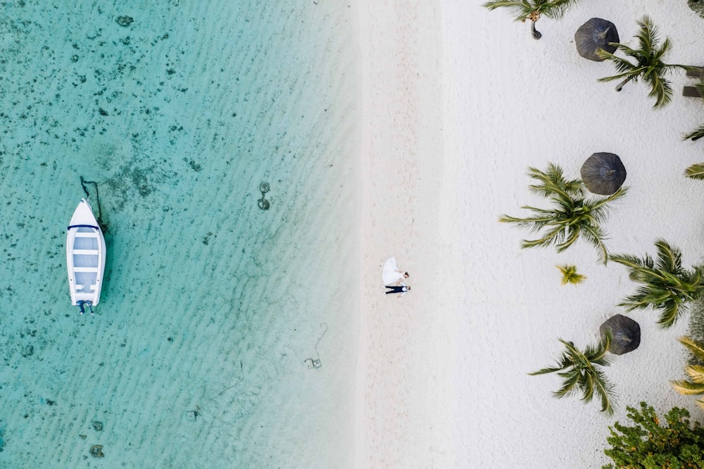 aerial view of green palm trees on white sand beach during daytime