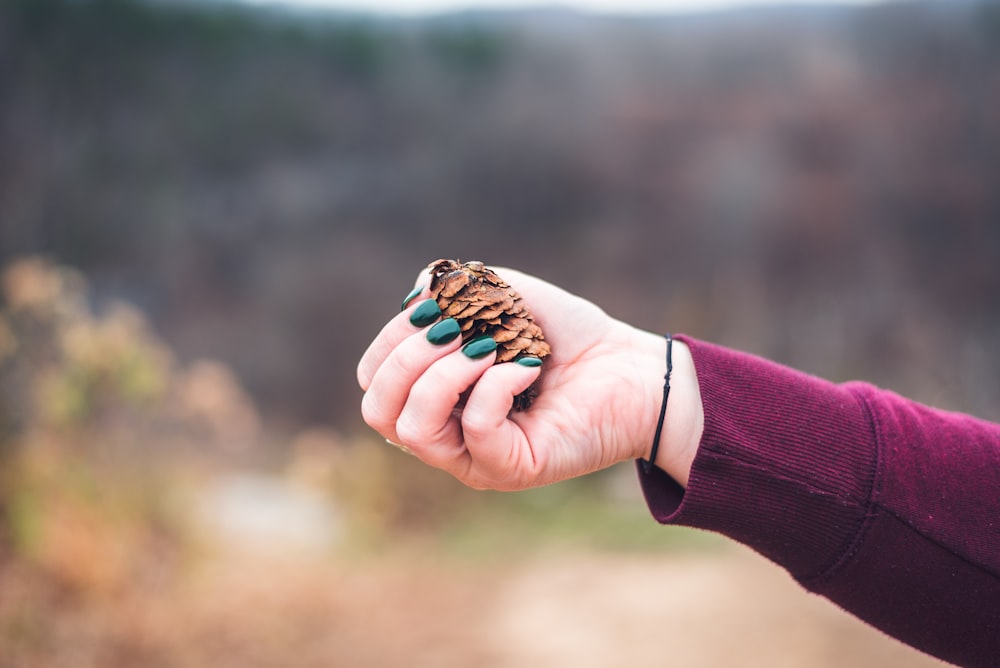 person with brown and black butterfly on hand