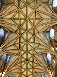 Various sizes and styles of Fortiara vaults displayed on a wooden floor.