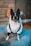 A small black and white dog is wearing a white jacket with black straps. The background features a brick wall and a soft focus light source, creating a cozy indoor setting. The dog appears to be sitting on a plush, light blue cushion.