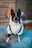 A small black and white dog is wearing a white jacket with black straps. The background features a brick wall and a soft focus light source, creating a cozy indoor setting. The dog appears to be sitting on a plush, light blue cushion.
