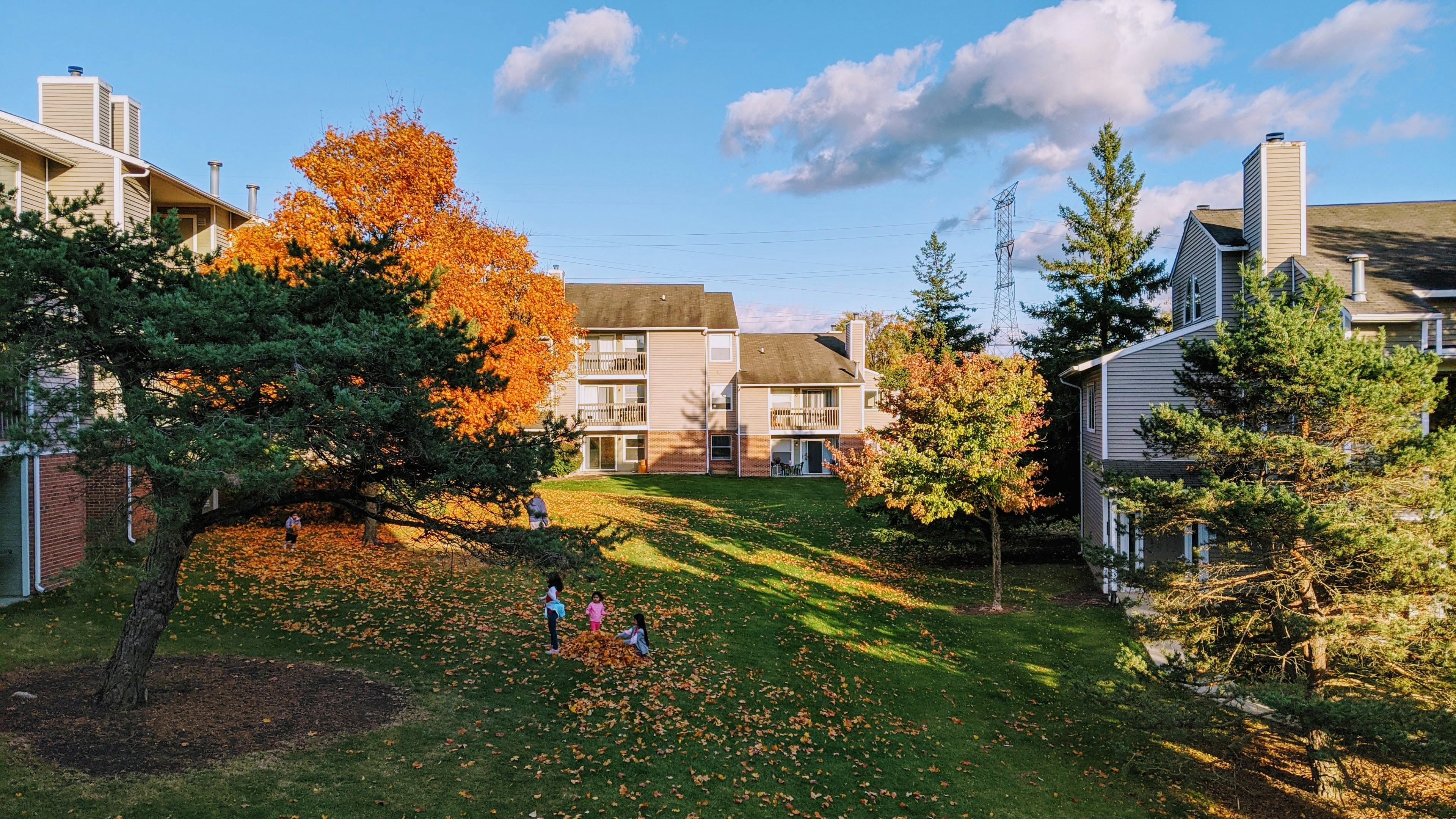 Photo by giginkrishnan