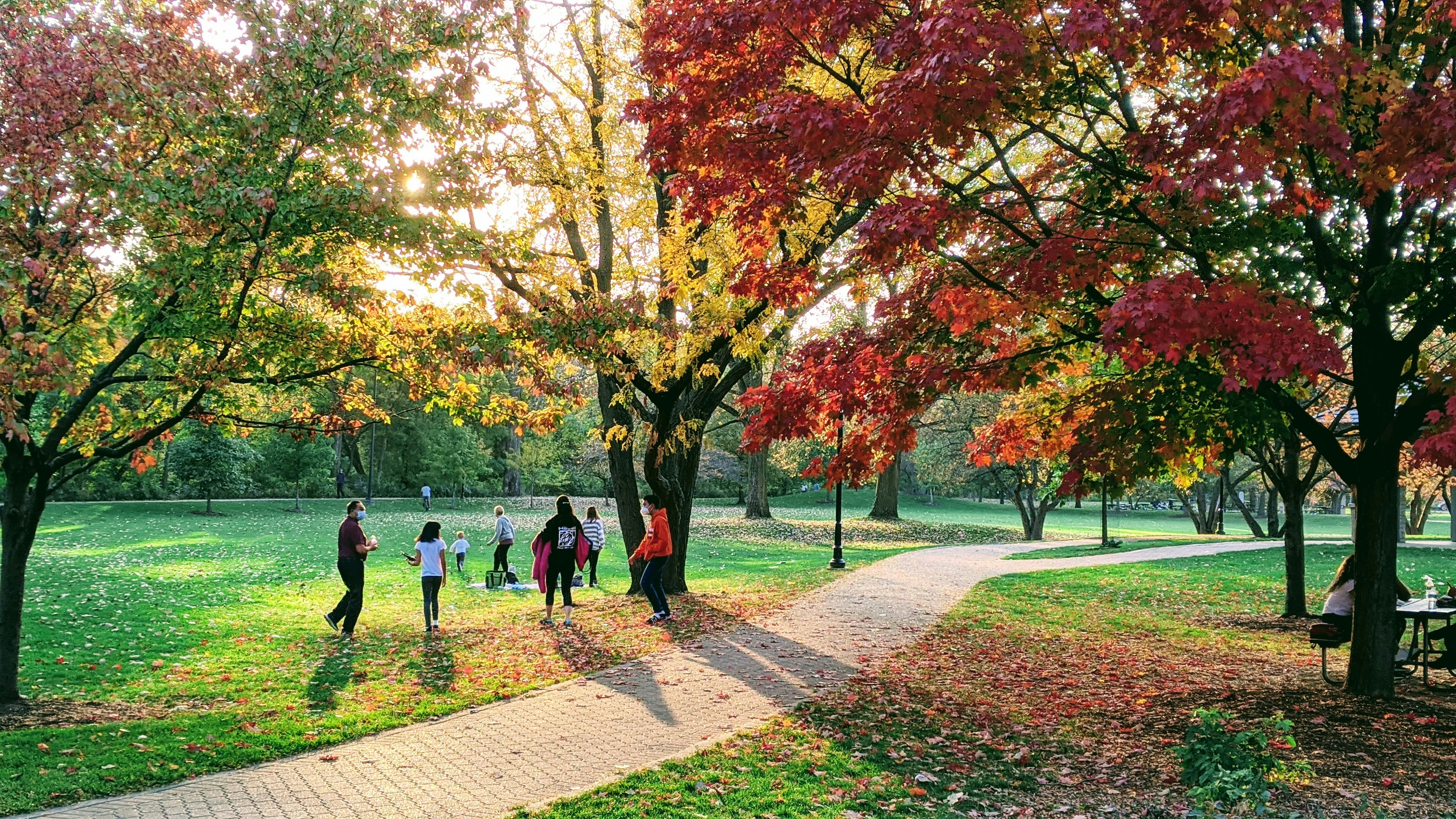 park