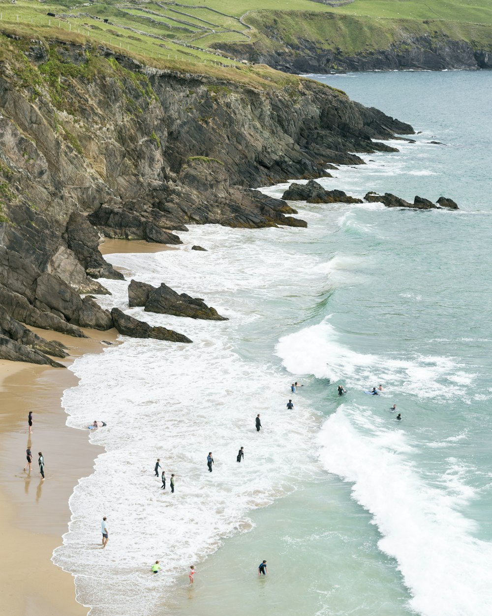 people on beach during daytime