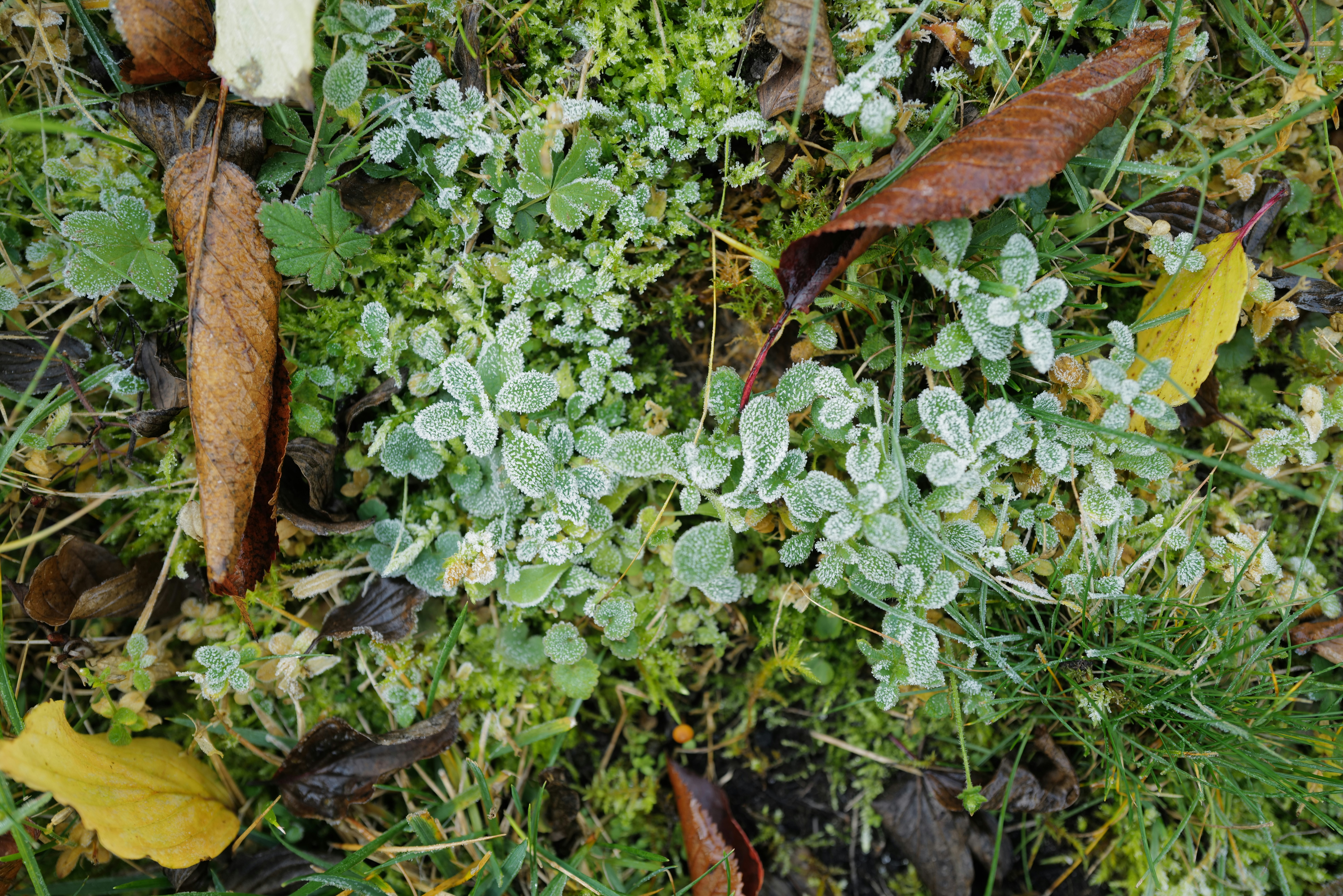 Photo by georgeiermann