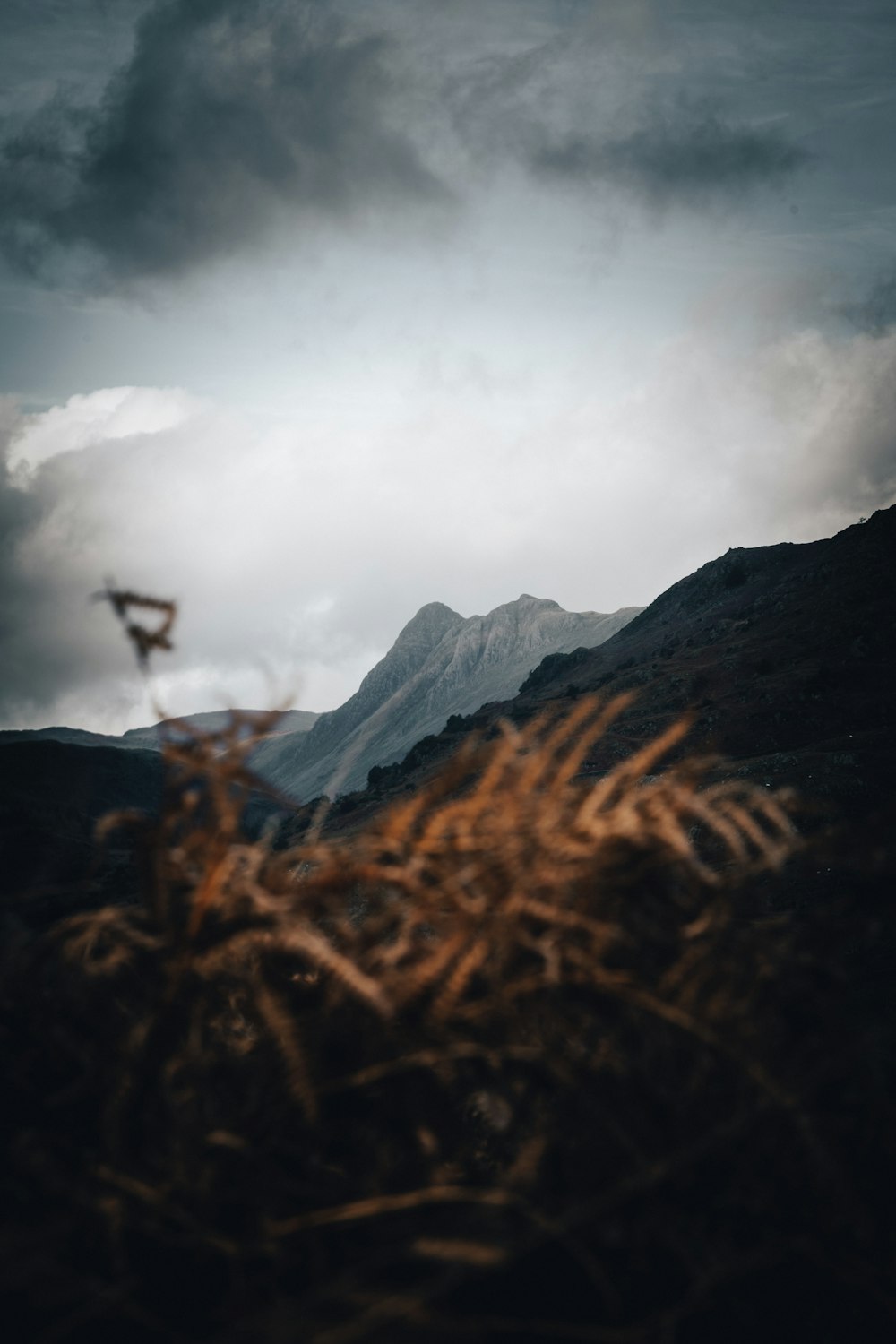 brown grass field near mountain during daytime