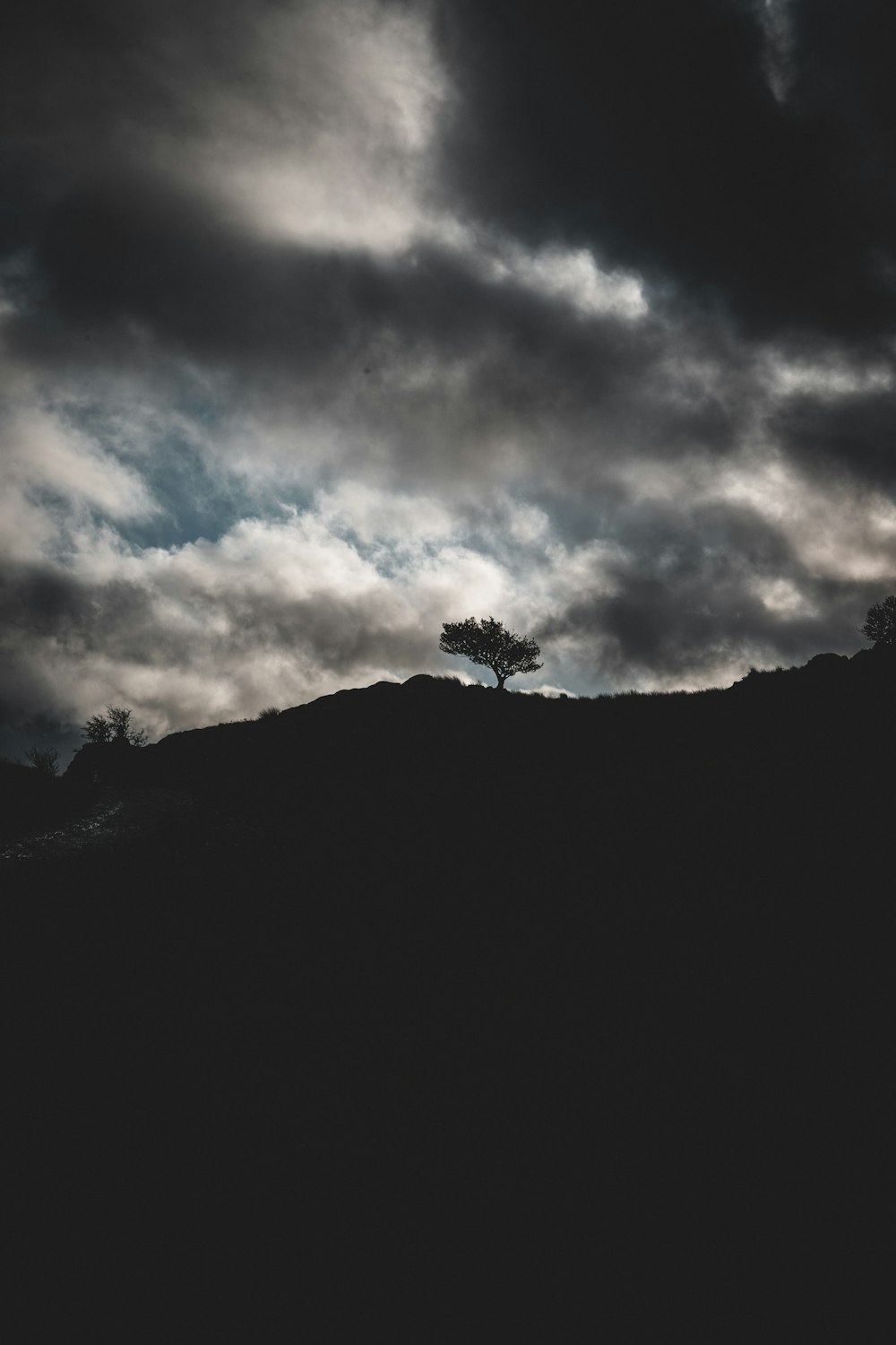 Siluetta dell'albero sulla collina sotto il cielo nuvoloso durante il giorno