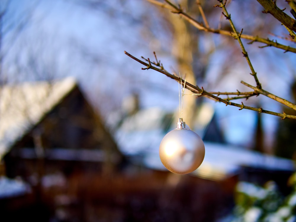 white round ornament on brown tree branch during daytime