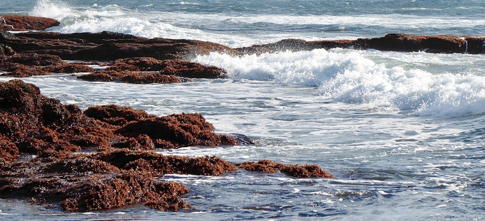 brown rock formation on sea during daytime