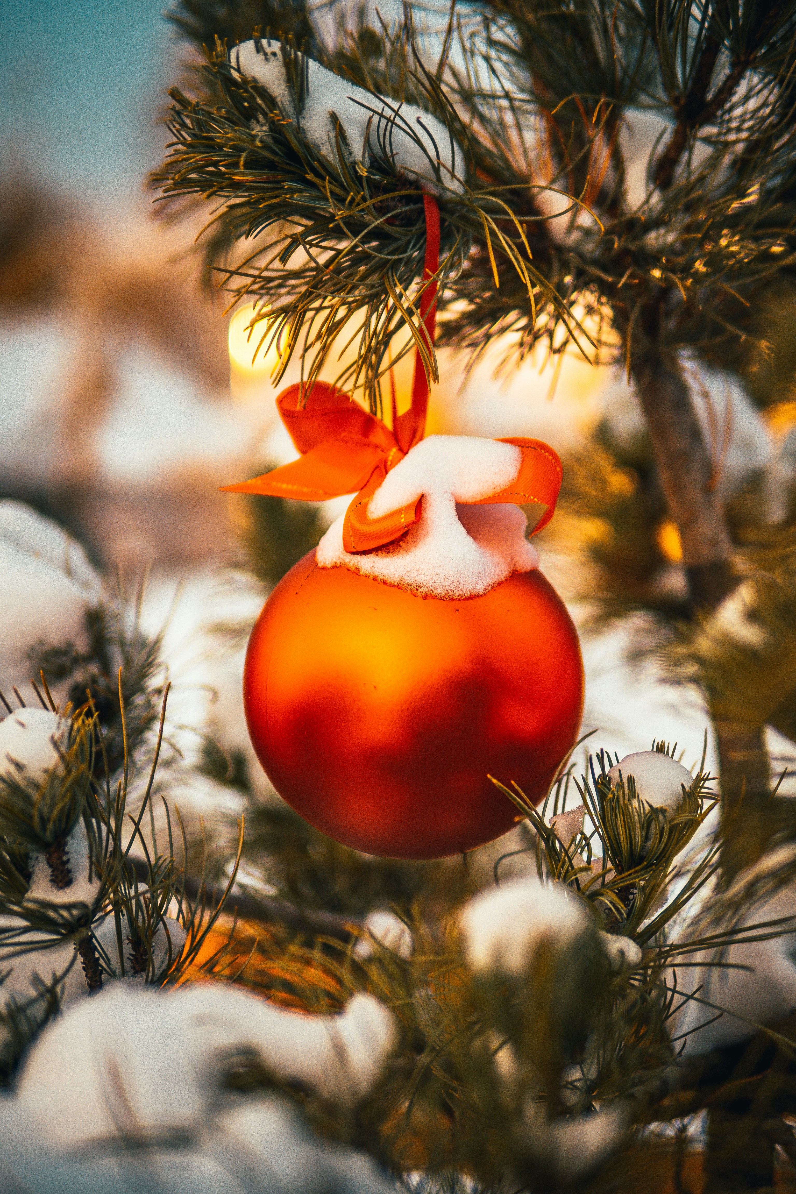 Eco-Friendly Christmas Magic