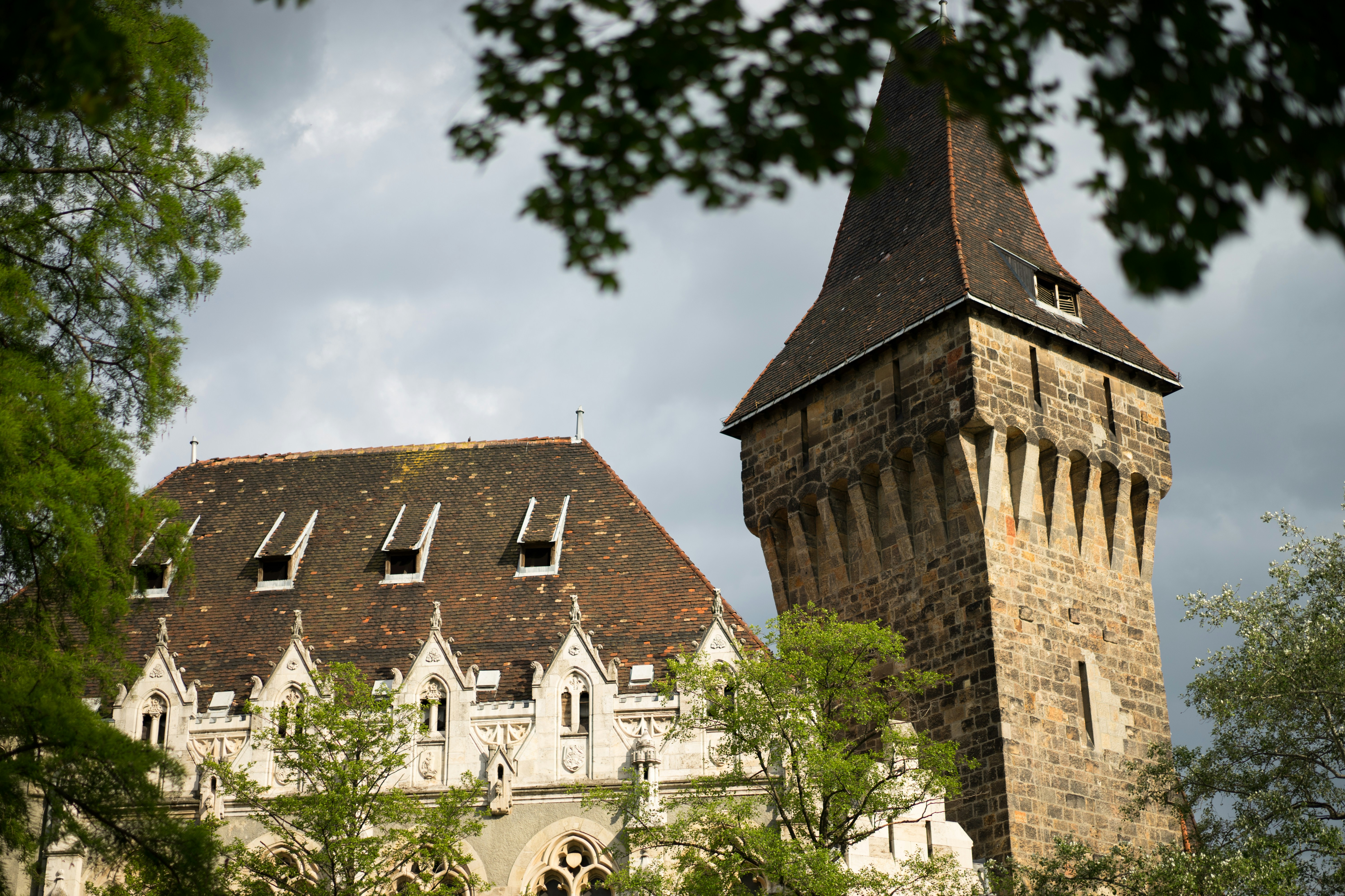 Photo by raimondklavins