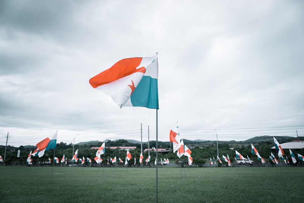 people in green grass field under white cloudy sky during daytime