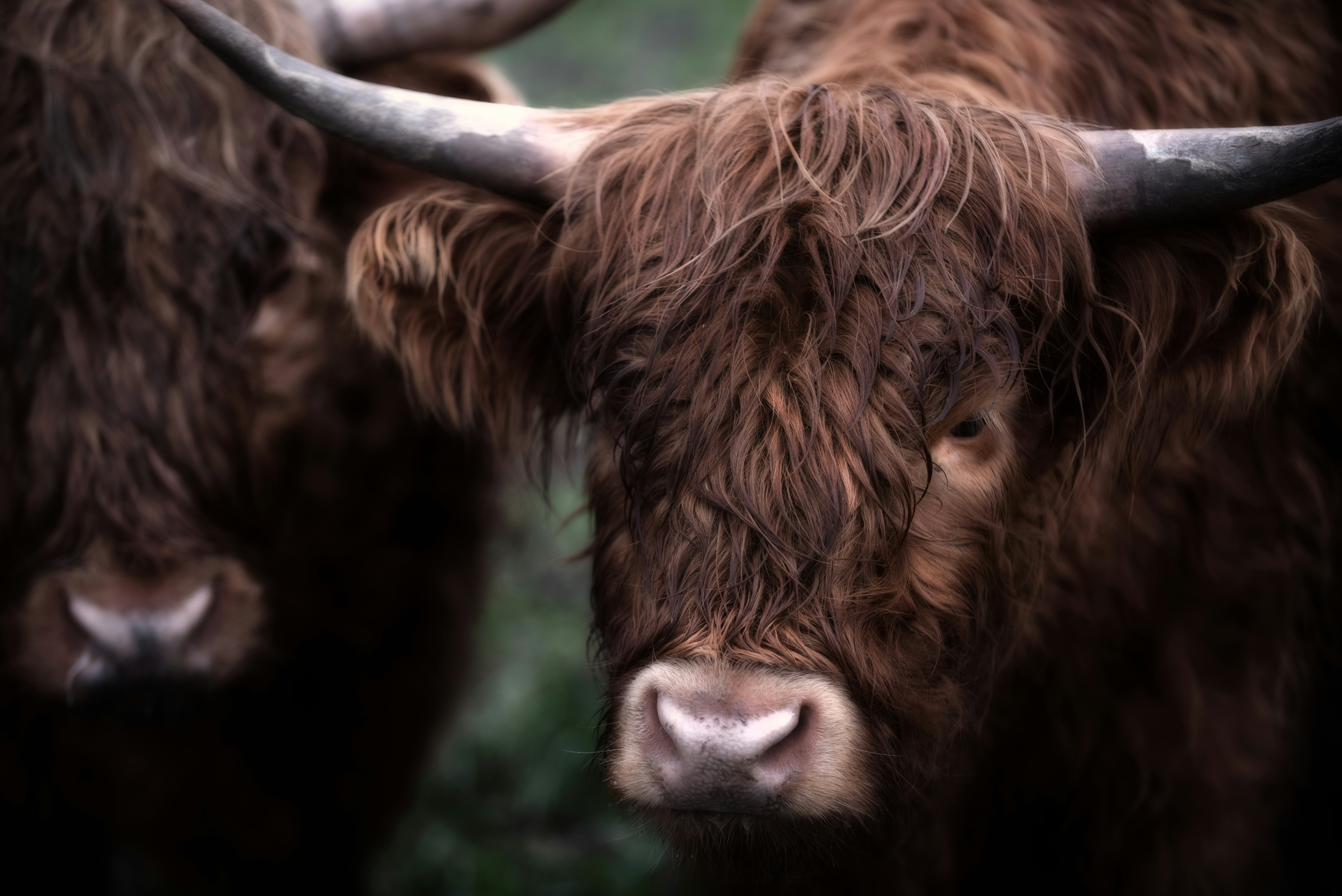 Photo by einarstorsul