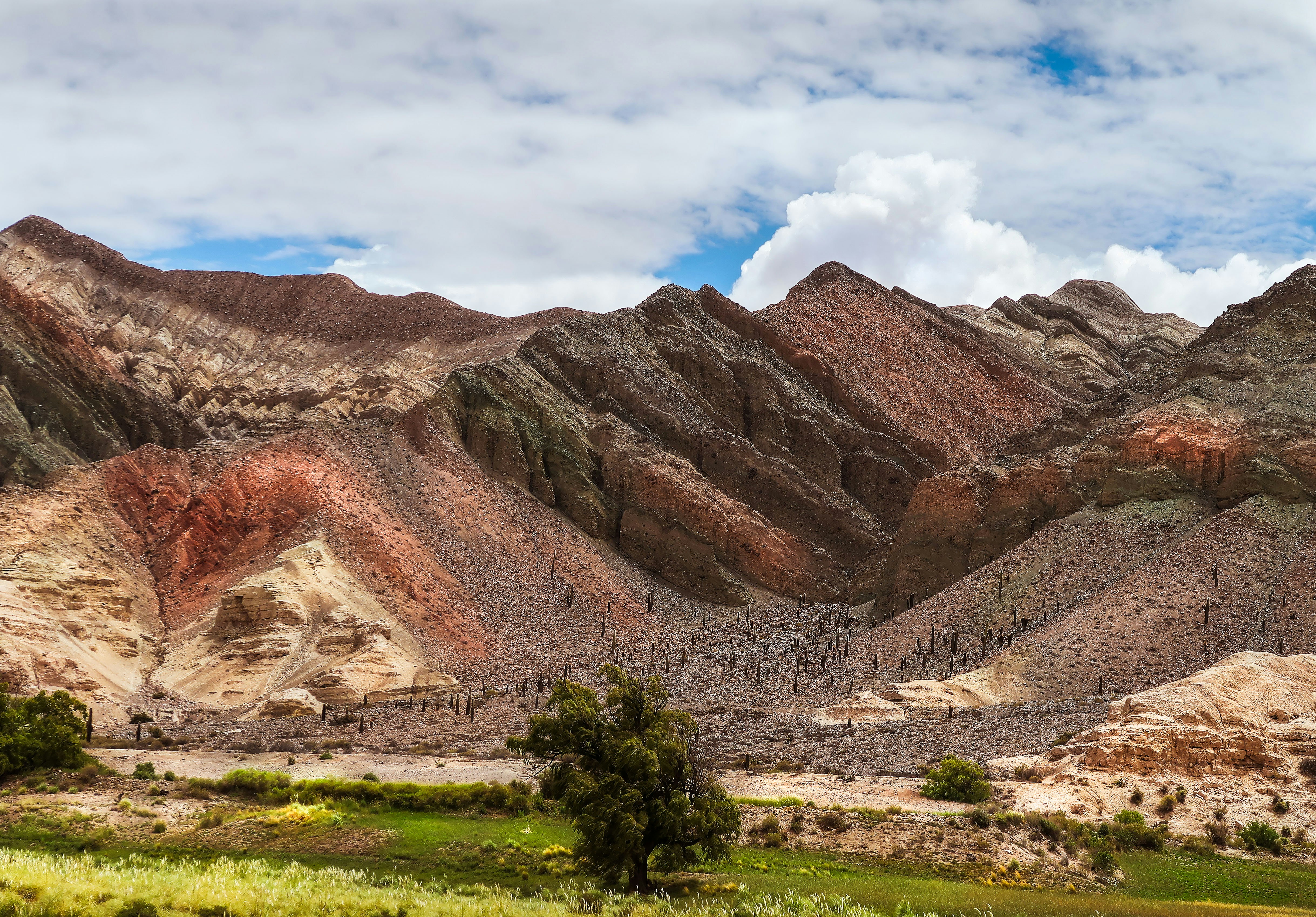 Photo by argentinanatural