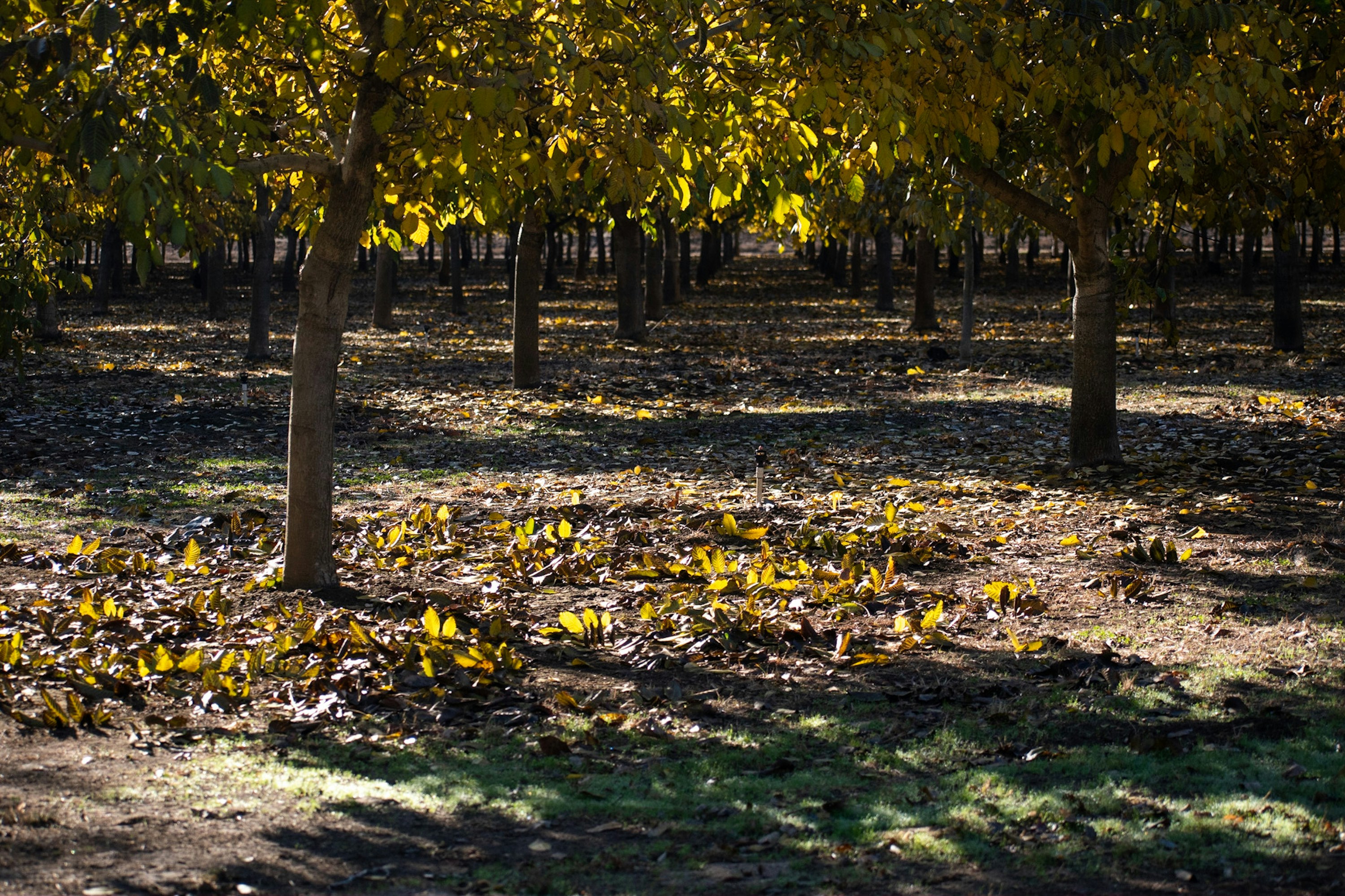 Photo by elisastonephotography