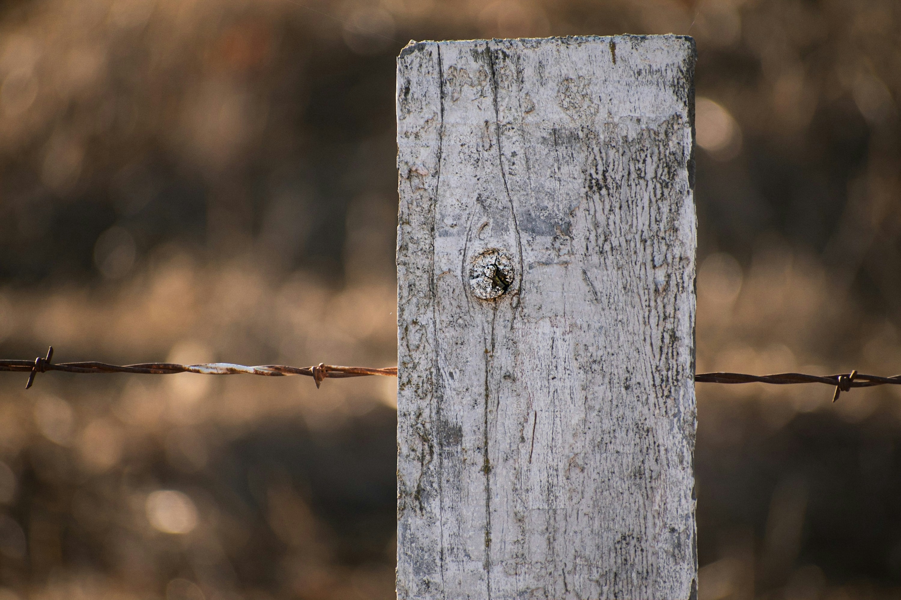 Photo by elisastonephotography