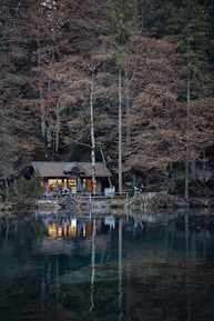 A cozy cabin nestled in a forest, inviting travelers to unwind and reflect.