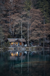 A serene view of a cozy cabin nestled in the woods.