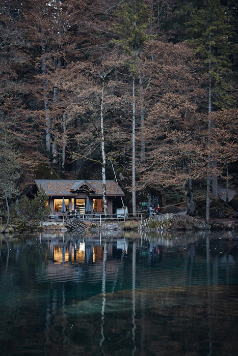 Cozy wooden cabins nestled among lush green trees near a serene lake at sunset.
