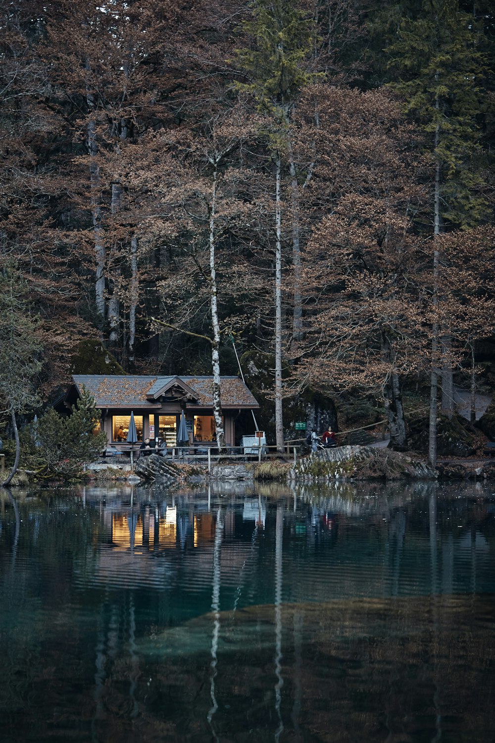 brown wooden house near river during daytime