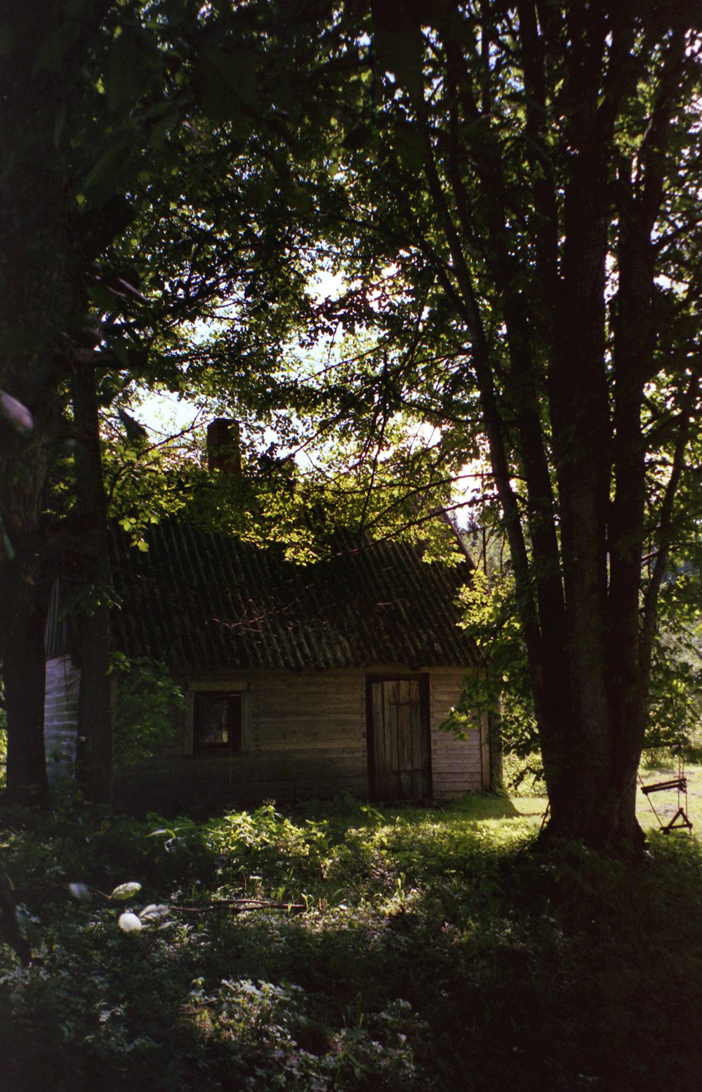 Casa de madera marrón en medio del bosque