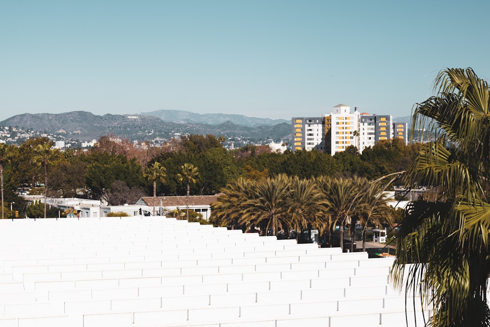 edifício de concreto branco perto de árvores verdes durante o dia