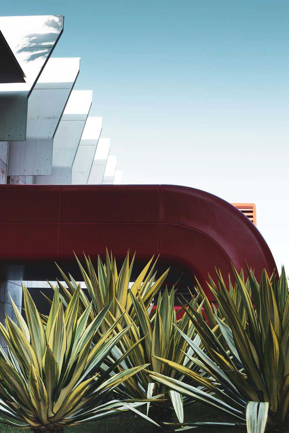 green palm tree beside red concrete building